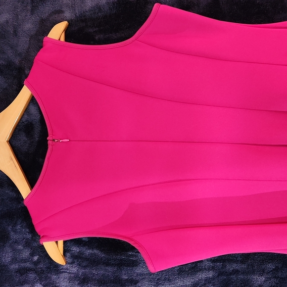 Sleeveless Raspberry Dress - Picture 6 of 8